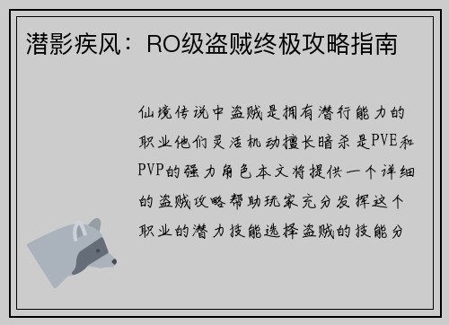 潜影疾风：RO级盗贼终极攻略指南